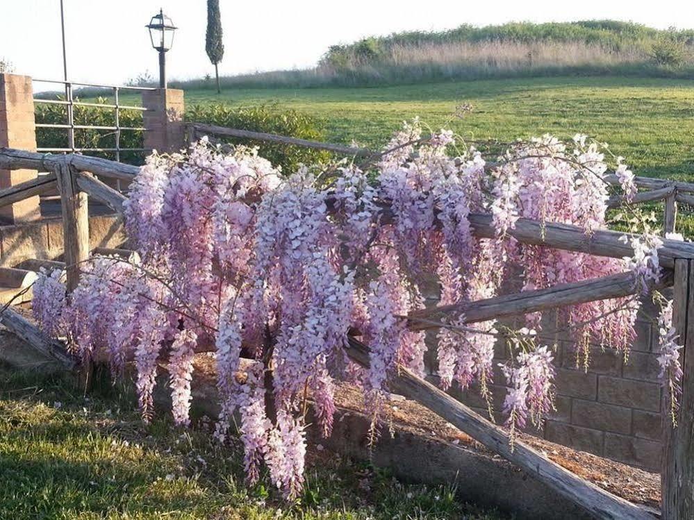 Agriturismo Ragoncino Lajatico Kültér fotó